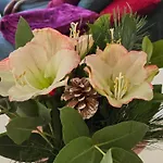 Alpenblumal アパート