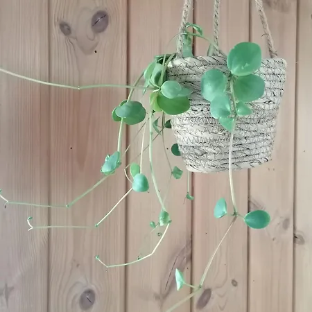 Διαμέρισμα Alpenblumal Bad Goisern