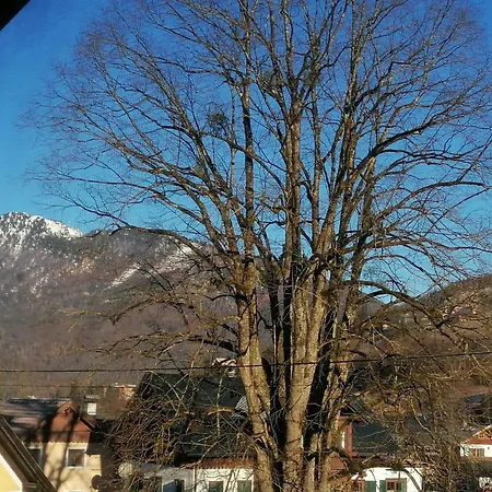 Alpenblumal * Bad Goisern