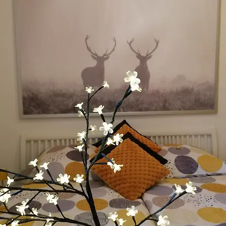Appartamento Alpenblumal