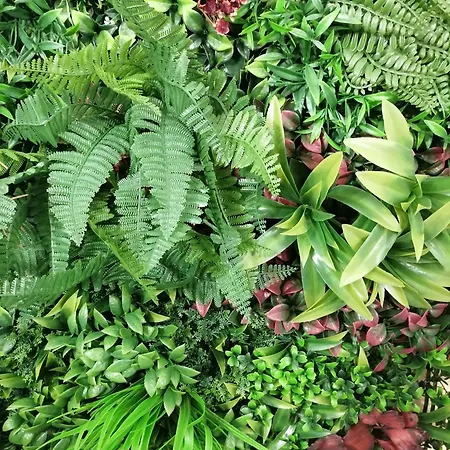 Alpenblumal Διαμέρισμα *