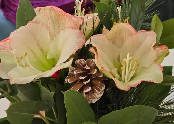 Alpenblumal 아파트