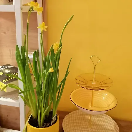 Alpenblumal 아파트 바드고이세른