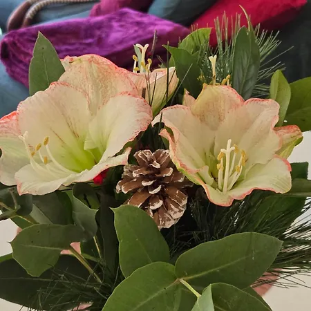 Alpenblumal 아파트