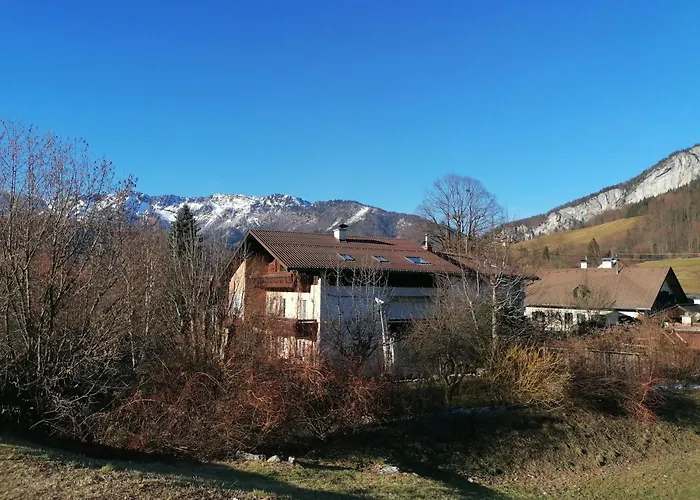 Alpenblumal Bad Goisern am Hallstättersee