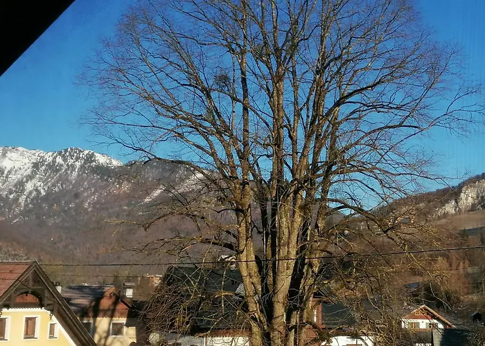 Alpenblumal * Bad Goisern am Hallstättersee