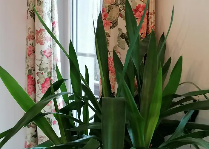 Alpenblumal Apartment